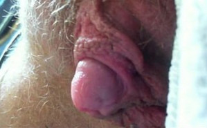    ,     ,   