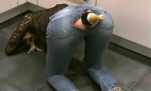    ,      